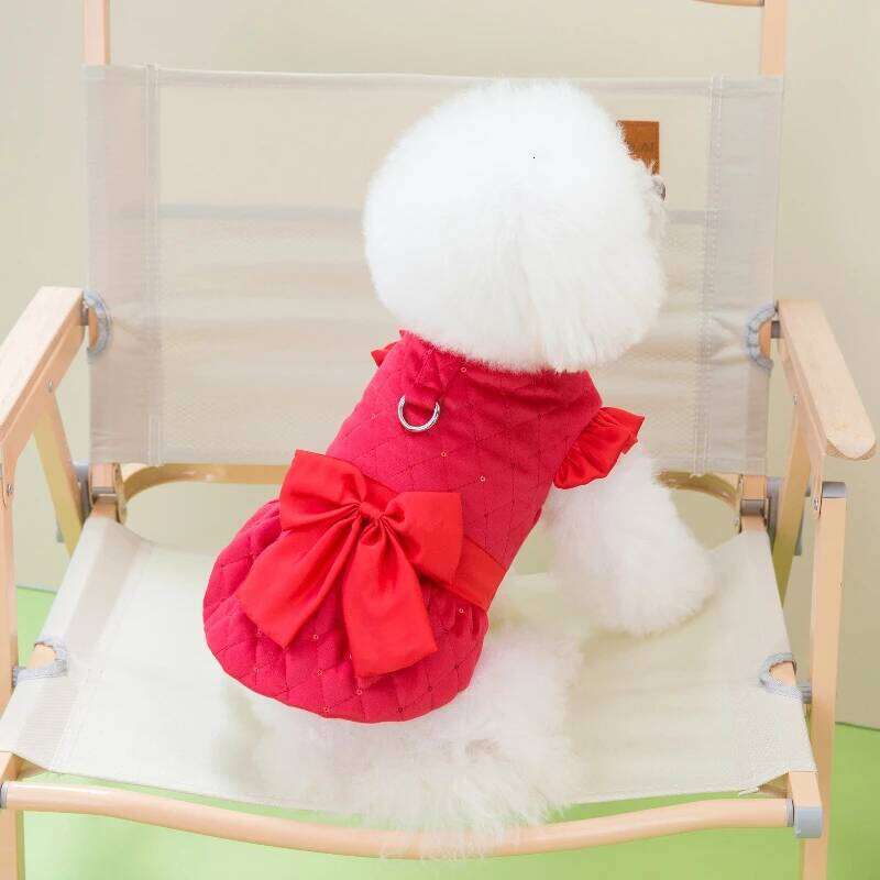 Autumn/Winter New Cute Cat Sweet Skirt Teddy Bear Small Dog Cotton Clothes Chihuahua Pet Supplies H260129