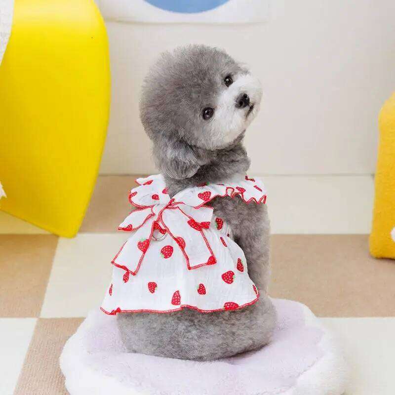 Small Female Clothes Strawberry Print Party Cute Dog Dresses Cat Apparel Puppy Dress Spring H260129
