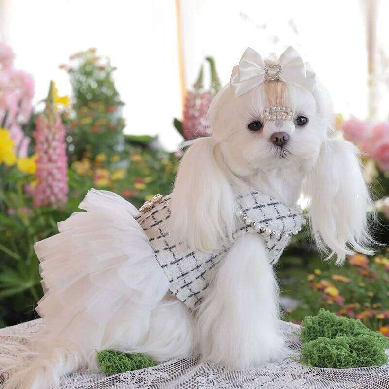 lace Pet formal dress Tulle Flared Tutu Skirt dog Birthday Party Dress & Holiday Gown pet clothes H260129