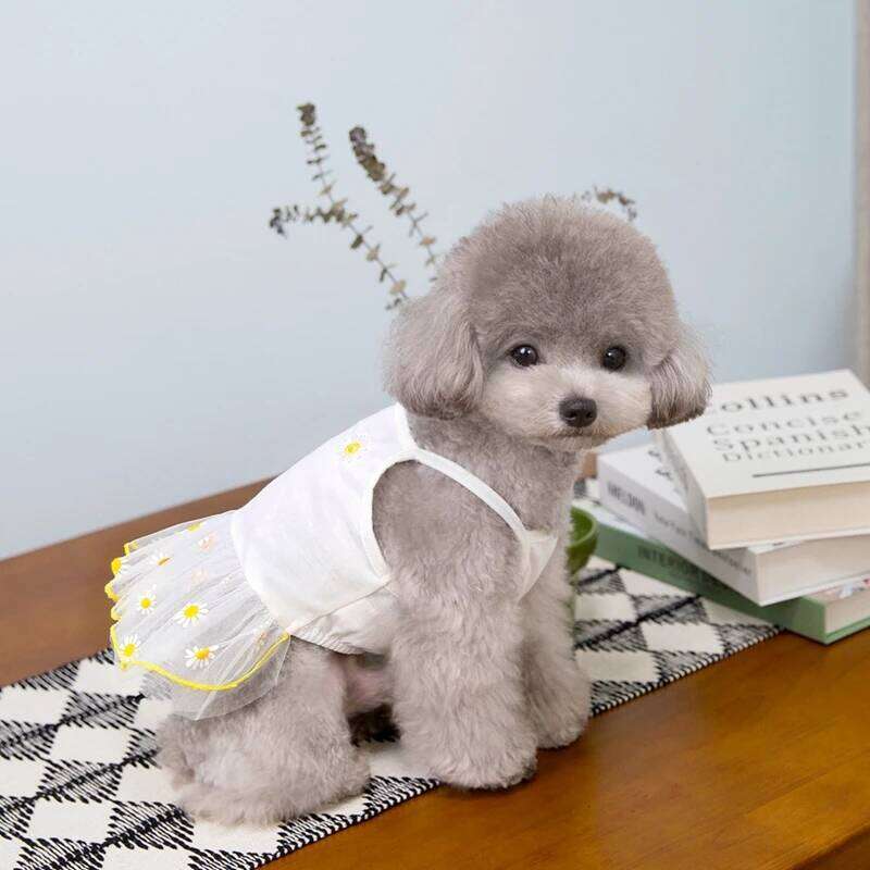 Trendy Spring-Summer Gold Gauze Skirt - Sparkling Pets Dog Costume for Elegant Puppies H260129