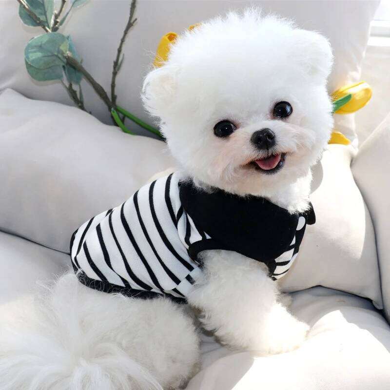 Pet Striped Couple Summer than Bears Leashable Vest Puppy Dress Teddy Soft Pullover Fashionable Dog Clothes H260129