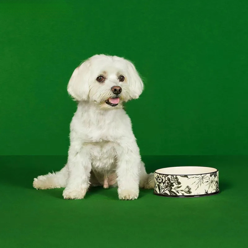 2026 new Designer Dog Mat set, Pet Bowl With Classic Letters Heavy Duty Non Slip Ceramic Cat Dish Dogs Bowls for Food and Water 42oz J15 - view 6