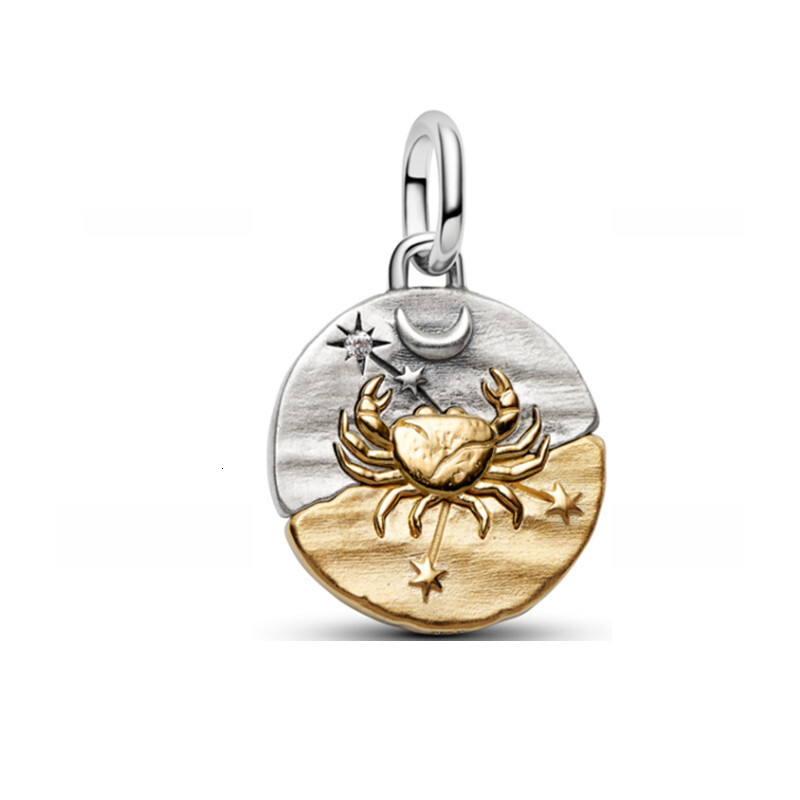2026 NEW 925 Sterling Silver Zodiac Coin Dangle Charms Fit ME bracelet Necklace DIY for women Gift Fine jewelry wholesale - view 5