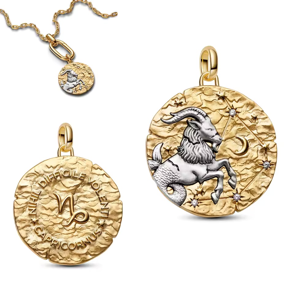 2026 NEW 925 Sterling Silver Zodiac Coin Dangle Charms Fit ME bracelet Necklace DIY for women Gift Fine jewelry wholesale - view 9