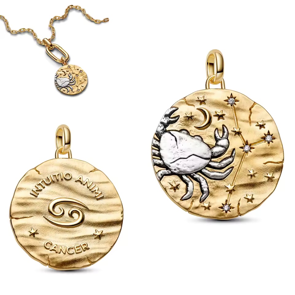 2026 NEW 925 Sterling Silver Zodiac Coin Dangle Charms Fit ME bracelet Necklace DIY for women Gift Fine jewelry wholesale - view 7