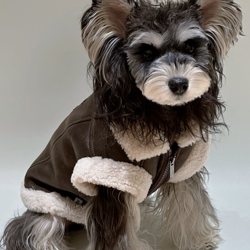 Designer style warm dog leather coats, sweaters and vests for autumn and winter, luxury inspired design with zipper closure, suitable for small, mediu - view 6