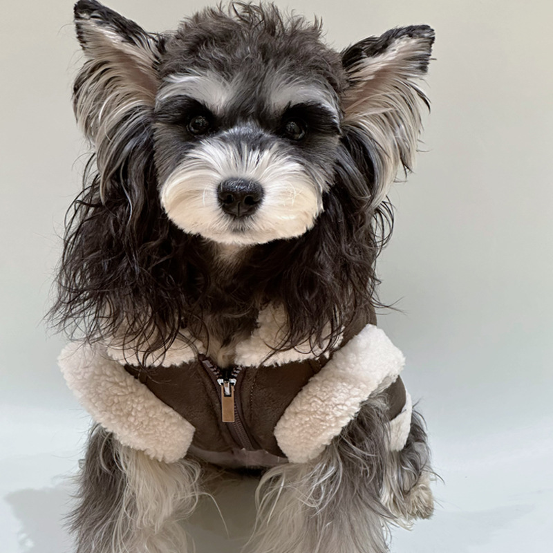Designer style warm dog leather coats, sweaters and vests for autumn and winter, luxury inspired design with zipper closure, suitable for small, mediu - view 5