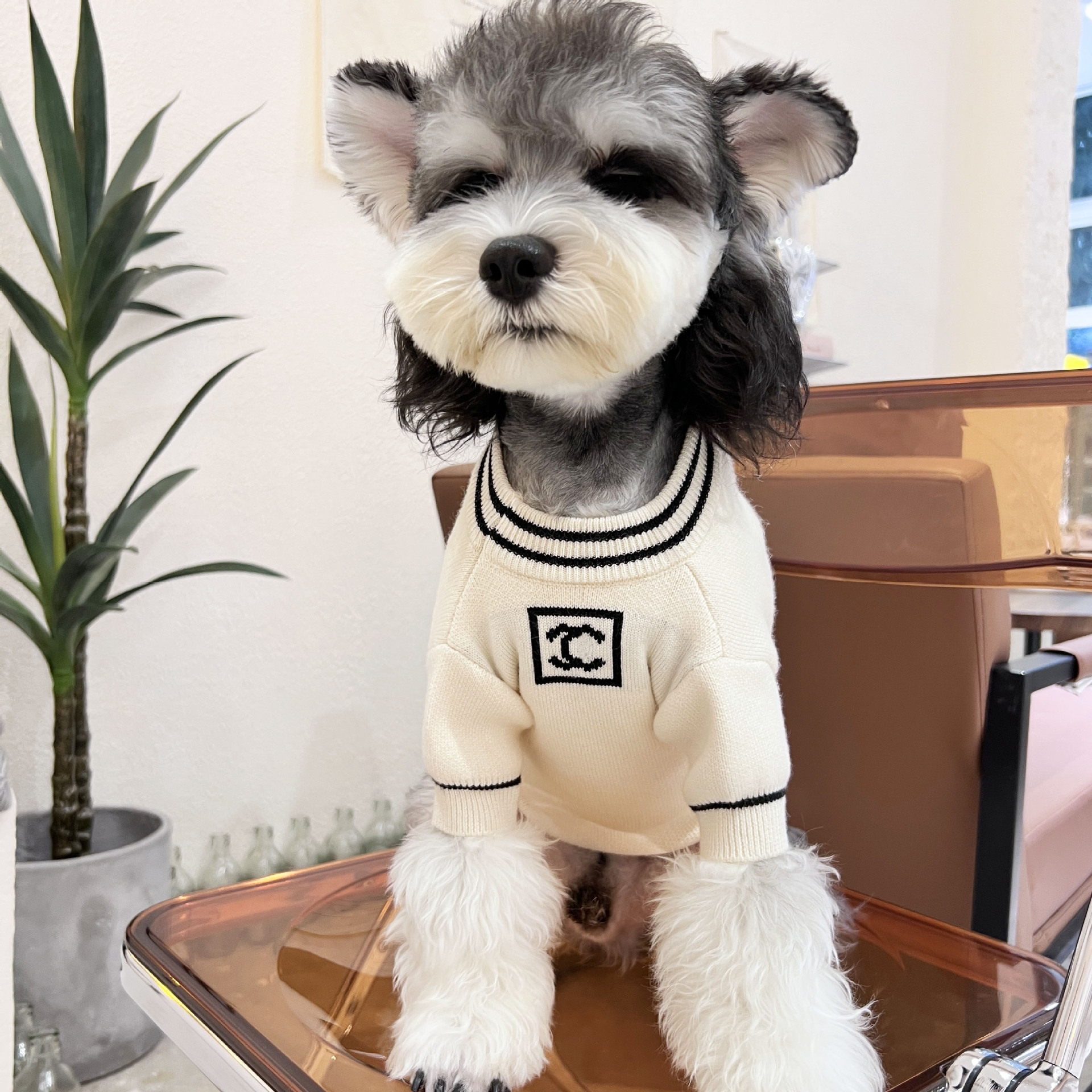 Designer Dog Clothes Luxury Dog Sweater, Classic Knitwear Fleece Winter Dog Clothes Boy Girl, Christmas Holiday Warm Pet Outfits Apparel, White