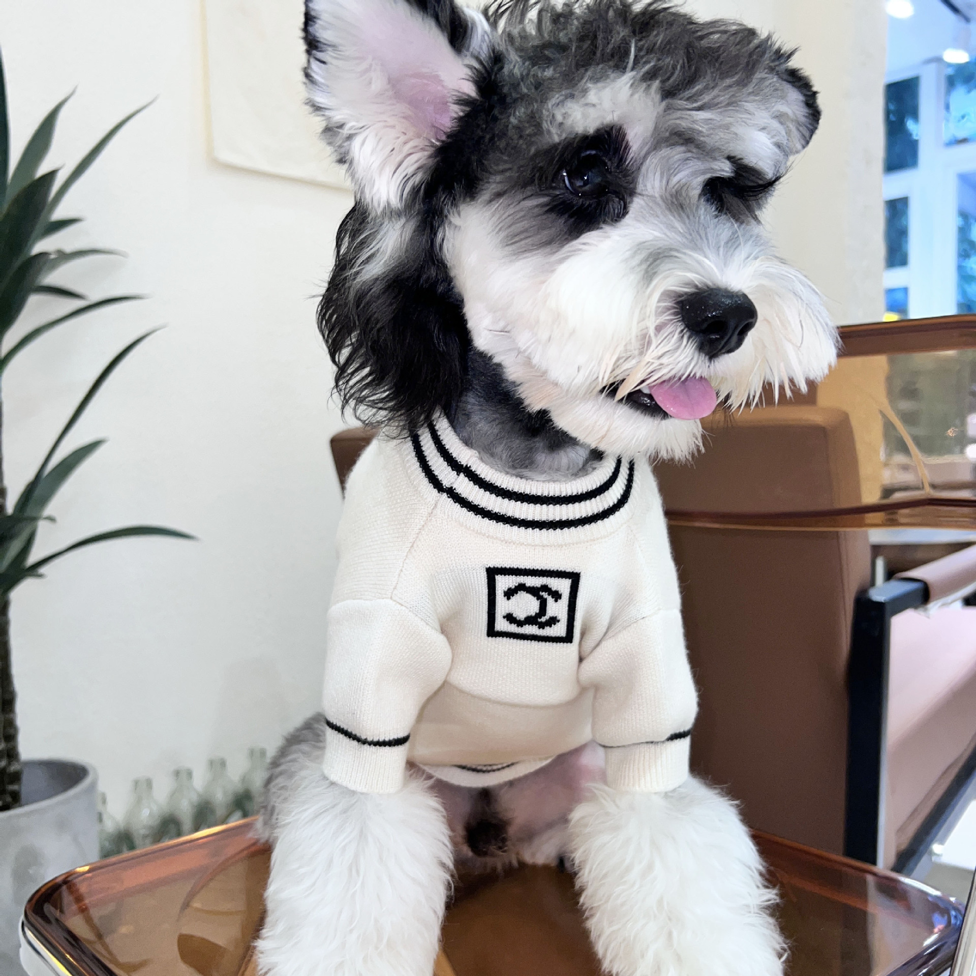 Designer Dog Clothes Luxury Dog Sweater, Classic Knitwear Fleece Winter Dog Clothes Boy Girl, Christmas Holiday Warm Pet Outfits Apparel, White - view 3