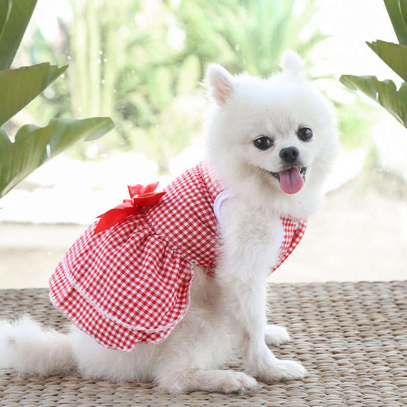 Famous brand Cross Border Spring Summer Dress Pet Clothes Teddy French Bulldog Bichon Cat Supplies Dog Clothing Apparel pupakaIK
