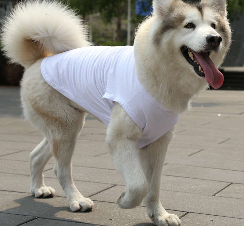 Famous brand Golden Retriever Samoyed Vest Cat Clothes Small Medium Large Dog Pet Cotton Teddy Supplies pupakaIK