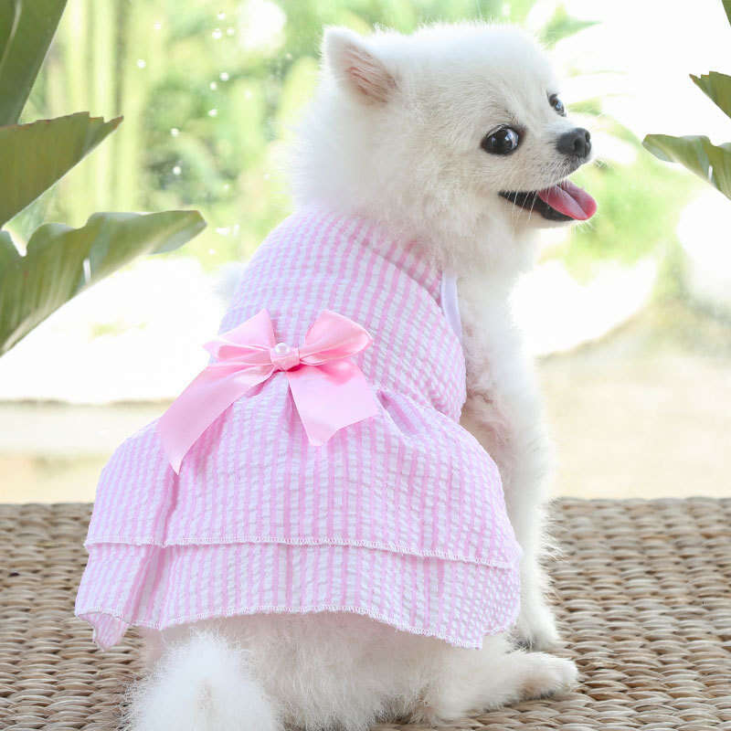 Famous brand Cross Border Spring Summer Dress Pet Clothes Teddy French Bulldog Bichon Cat Supplies Dog Clothing Apparel pupakaIK