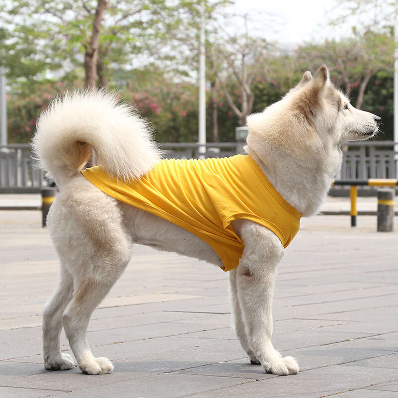 Famous brand Golden Retriever Samoyed Vest Cat Clothes Small Medium Large Dog Pet Cotton Teddy Supplies pupakaIK