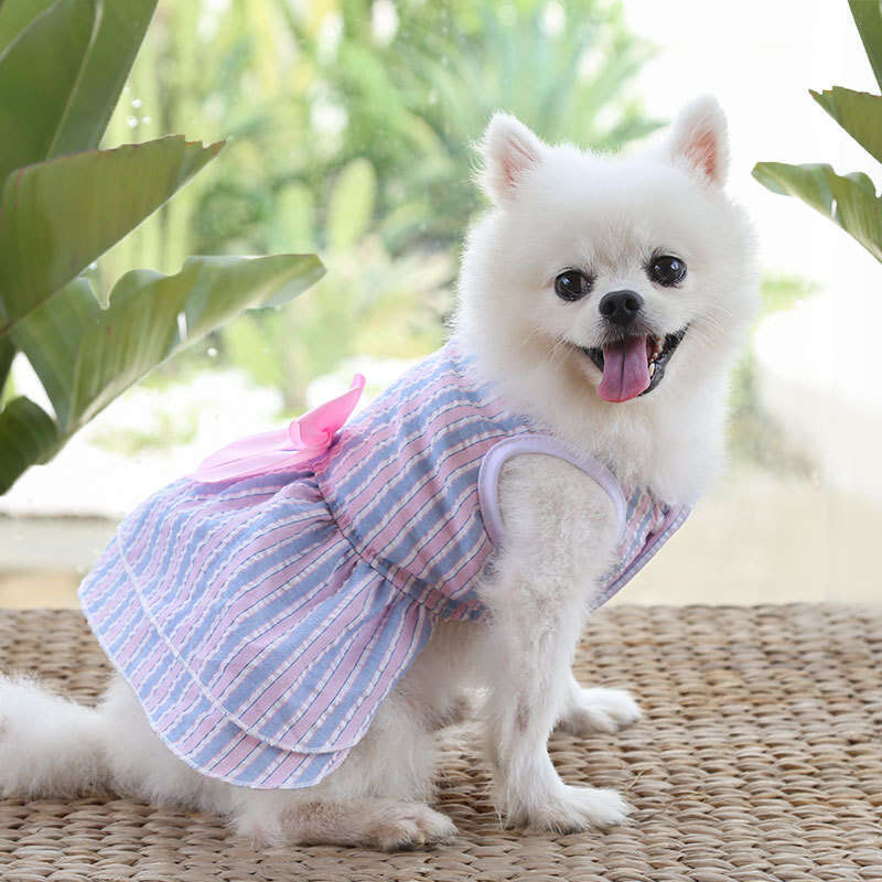Famous brand Cross Border Spring Summer Dress Pet Clothes Teddy French Bulldog Bichon Cat Supplies Dog Clothing Apparel pupakaIK
