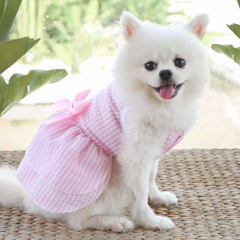 Famous brand Cross Border Spring Summer Dress Pet Clothes Teddy French Bulldog Bichon Cat Supplies Dog Clothing Apparel pupakaIK