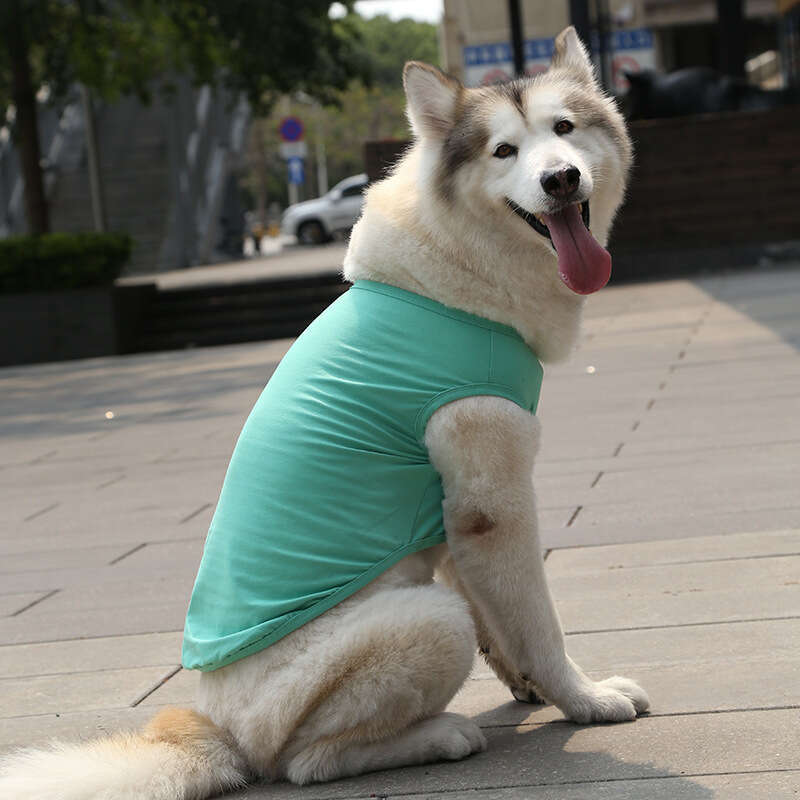 Famous brand Golden Retriever Samoyed Vest Cat Clothes Small Medium Large Dog Pet Cotton Teddy Supplies pupakaIK