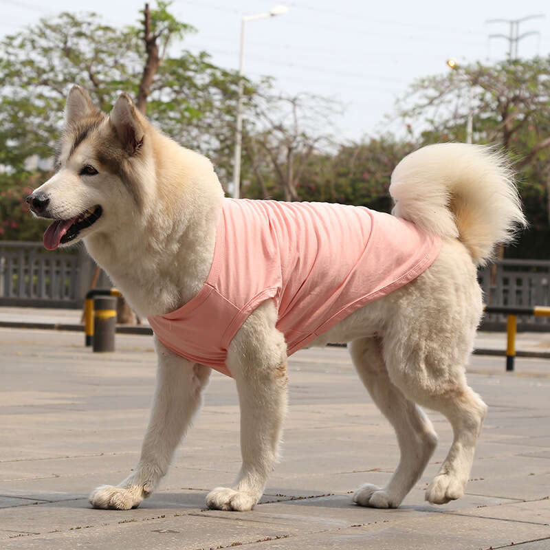 Famous brand Golden Retriever Samoyed Vest Cat Clothes Small Medium Large Dog Pet Cotton Teddy Supplies pupakaIK