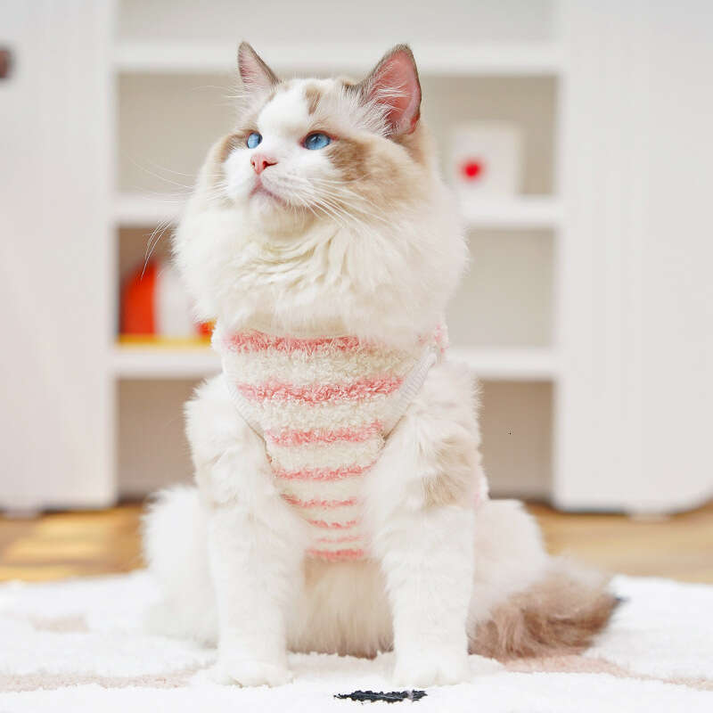 Famous brand Autumn Winter Flannel Warm Teacup Small Puppy Cat Teddy Clothes Dog Vest Pet Supplies Cross Border pupakaIK