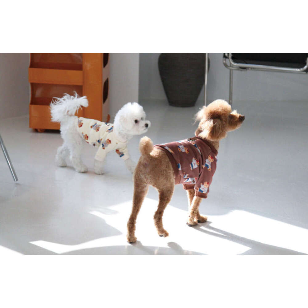 Famous brand Large Golden Retriever Pet Autumn Winter Corgi Bear Teddy Cat Clothes Dog Supplies Bichon Thin Fleece Sweatshirt pupakaIK