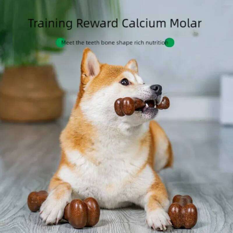 Natural Non-Toxic Indestructible Dog Bone Anti-Bite Puppy Teething Chew Toy for Small Medium Large Dogs Pet Chewbone