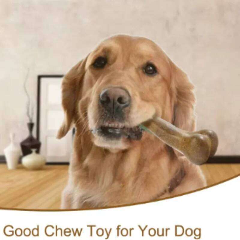 Natural Non-Toxic Indestructible Dog Bone Anti-Bite Puppy Teething Chew Toy for Small Medium Large Dogs Pet Chewbone