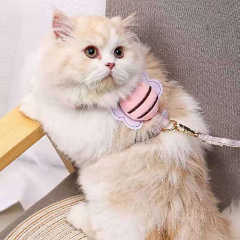 Adjustable Cat Leash Set for Small Dogs Puppy Vest Outdoor Walking Lead French Bulldog Chihuahua Comfortable Pet Harness