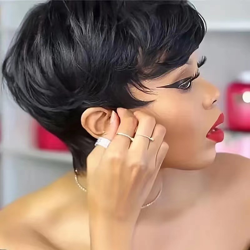 Wig Black Short Hair Womens Voluminous Natural Fashion Hairstyle Wholesale250210