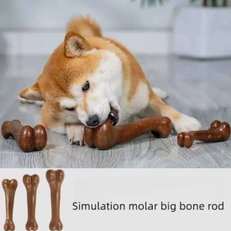 Natural Non-Toxic Indestructible Dog Bone Anti-Bite Puppy Teething Chew Toy for Small Medium Large Dogs Pet Chewbone