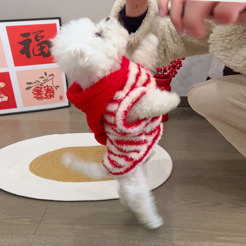 Famous brand New Year s red striped little hat hairless plush pet clothing dogs cats autumn winter apparel for British Shorthair and Ragdoll pupakaIK