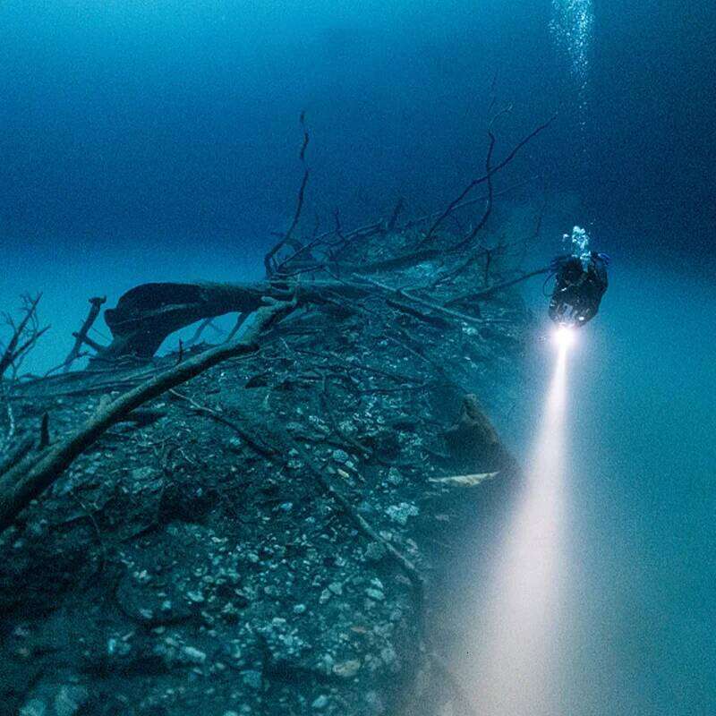 Portable LED Flashlight High Brightness Professional Diving Torch IPX8 Waterproof Underwater Lantern Amphibious Outdoor Lights Z260301