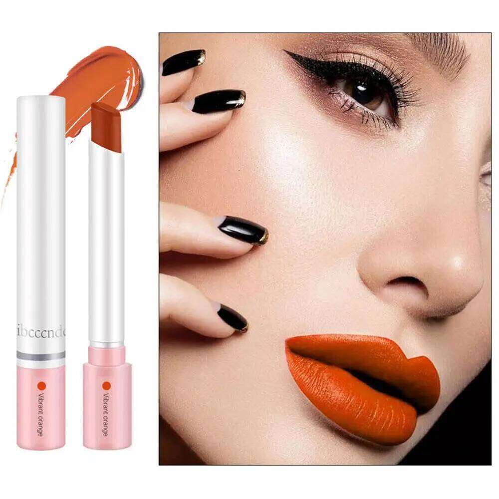 4-Lasting Stick Waterproof Lip Set Long-Lasting Matte Lipstick with Transparent Finish - Perfect Valentine's Day Gift for Her H260302