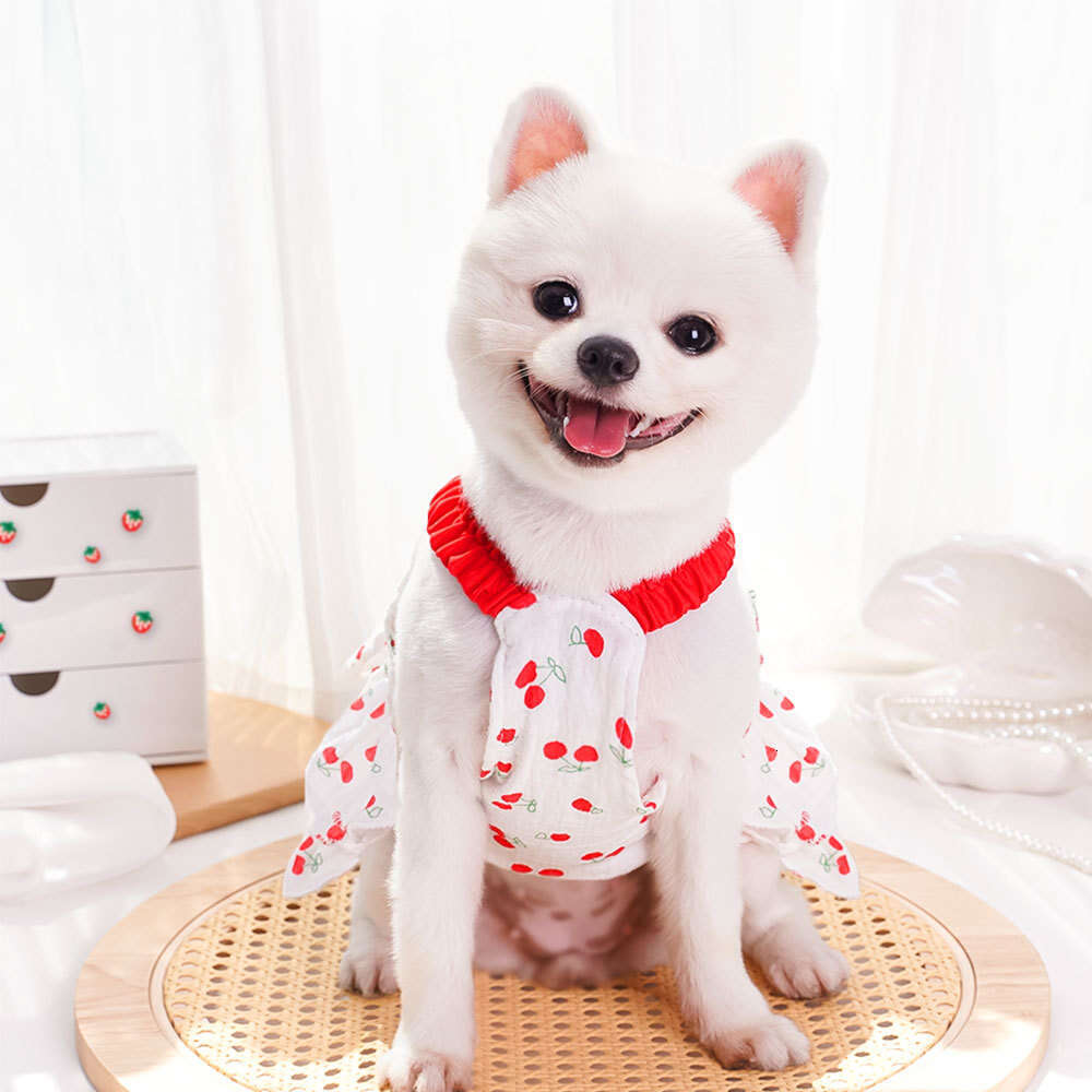 Famous brand All cotton pet dress layered dog cake skirt clothing cat supplies wholesale for small and medium sized dogs summer pupakaIK