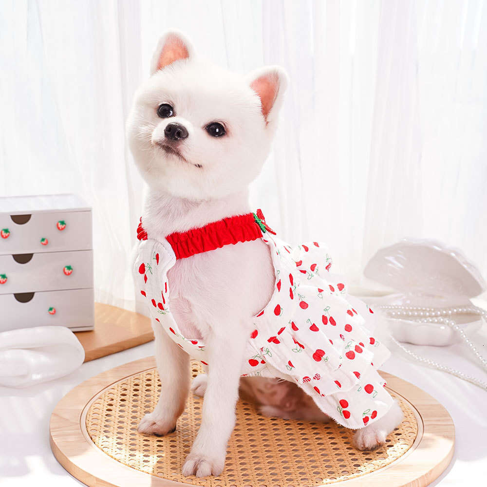 Famous brand All cotton pet dress layered dog cake skirt clothing cat supplies wholesale for small and medium sized dogs summer pupakaIK