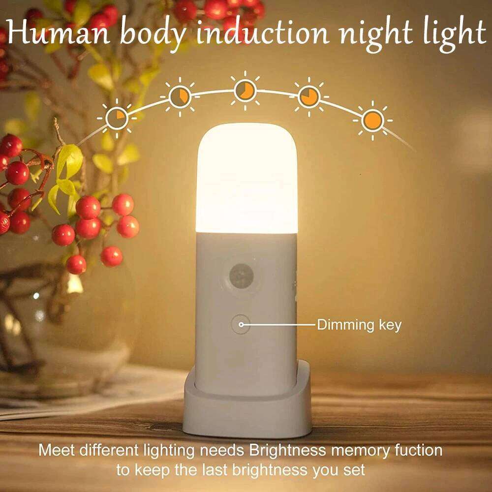 Intelligent Infrared Human Body Sensor Multifunctional LED Night Five Level Dimming USB Charging Bedroom Bedside Lamp S260302