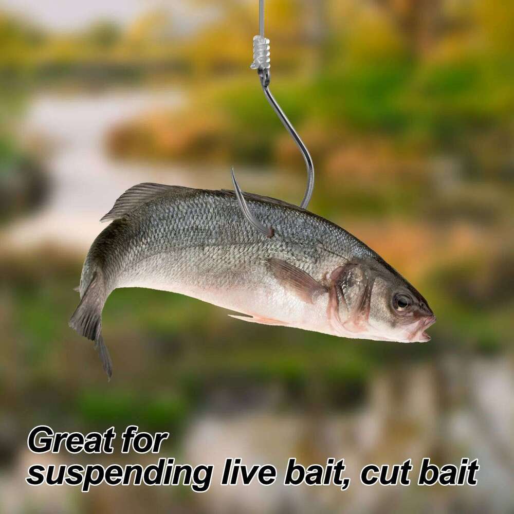 #6-#8/0 Big River Catfish Live Bait Octopus Beak Offset Fishing Circle Hook Saltwater Halibut Pike Z260228