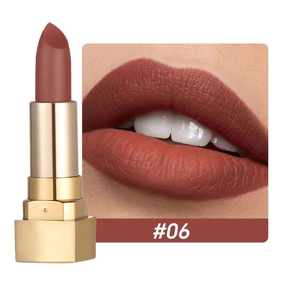 Matte Lipstick Velvet Color Smooth, Waterproof, Long-Lasting, Easy To Apply Lip Makeup H260302