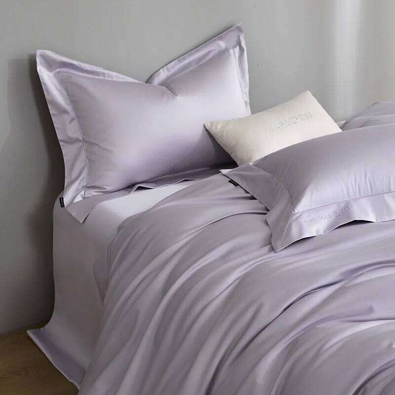 Customizable Hotel Wind 100S Double Strand 500T Avati Long Staple Cotton Elegant Punched Solid Color Four-piece Set W260302