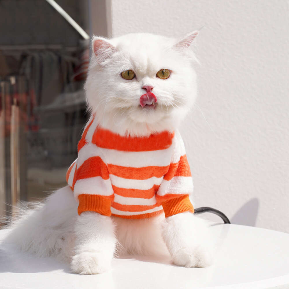 Famous brand Pet Clothing Winter Warm Embroidered Clothes for Teddy Bichon Small Medium Sized Dogs Cats and Cat Supplies Wholesale pupakaIK