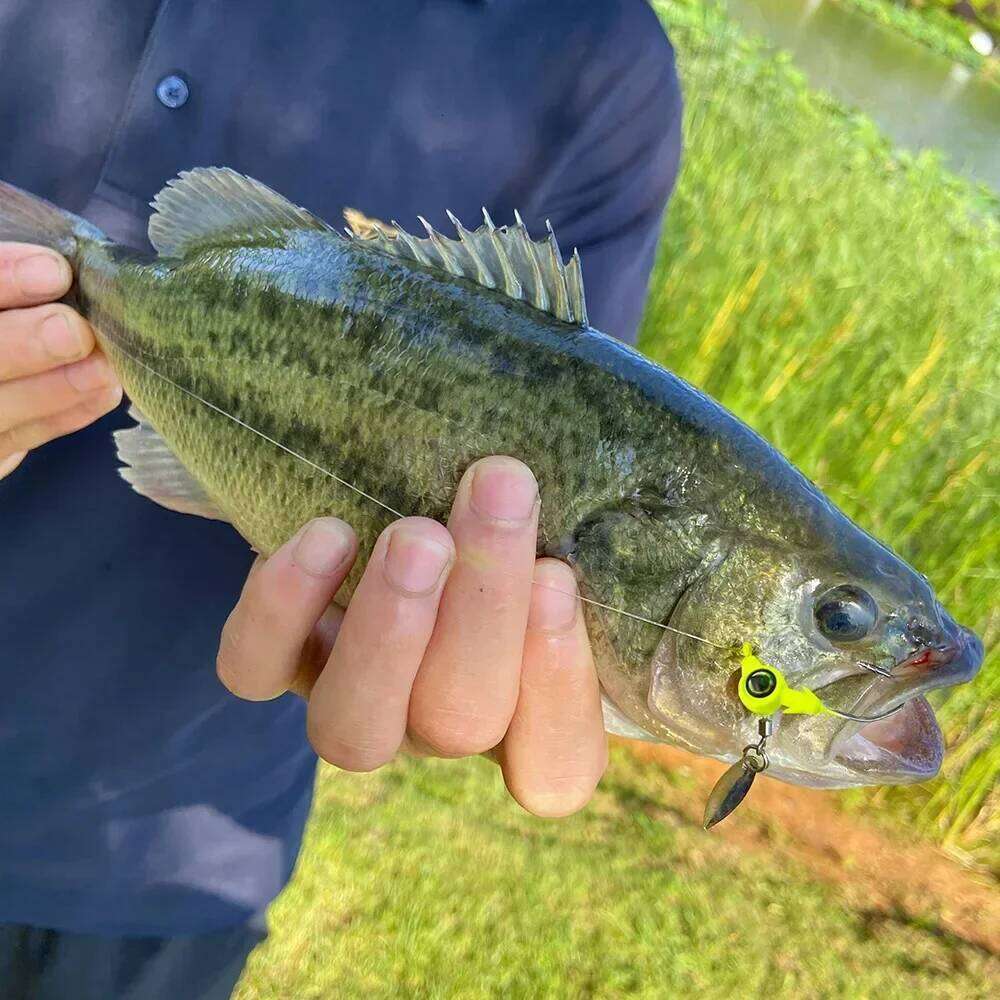 5pcs Head 3.5g 5g 7g 10g Hook Rotating Sequins Jig Lure Metal Spoons Hard Baits For Soft Worm Fishing Tackle Z260228