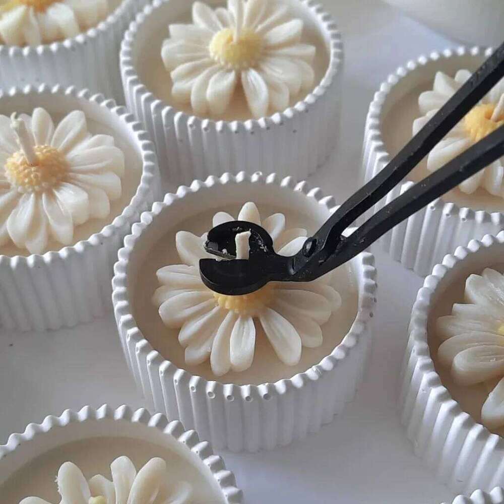 Handmade Daisy Gypsum with Unique Container, Pear Freesia Scented Soy Wax Candle Home, Aromatherapy Gift for Women W260303