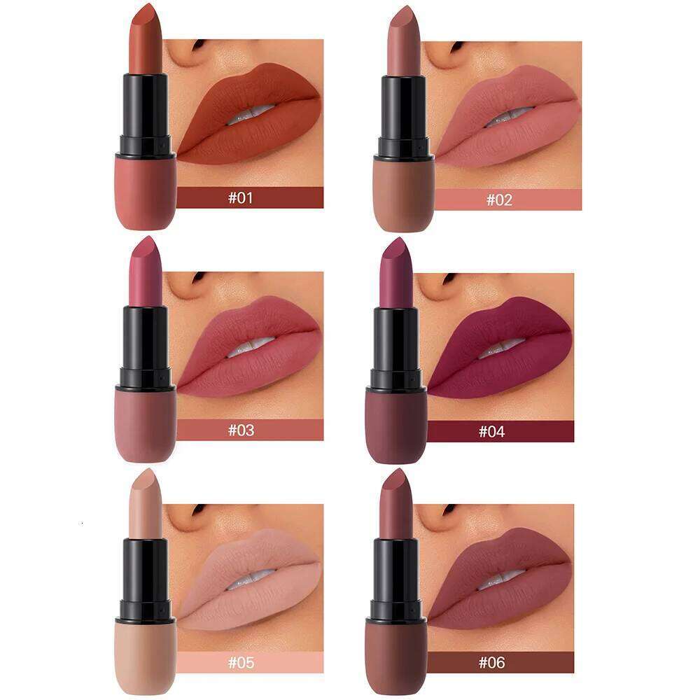Matte Lipstick Long-Lasting Waterproof Classic High Pigment Velvet Topcoat Lip Cosmetics H260302