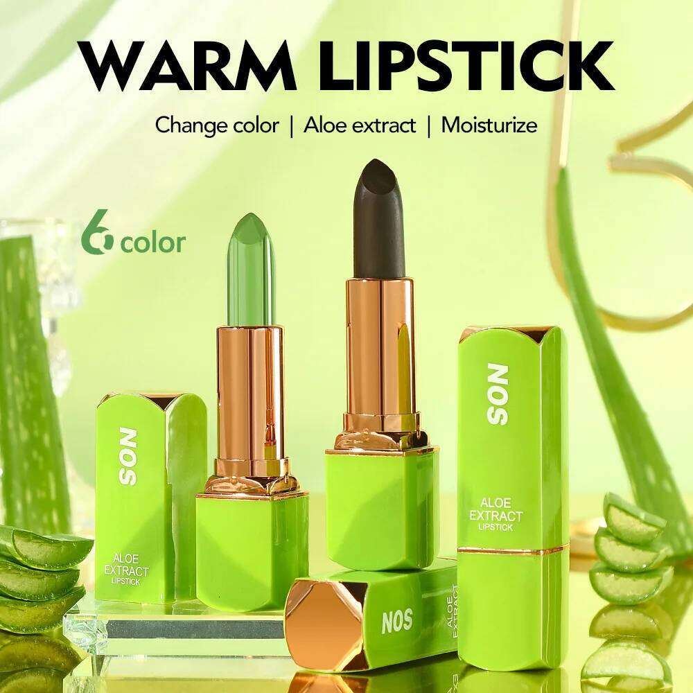 Colorful Lipstick Waterproof Long-lasting Non Smudging Moisturizing Natural Lip Gloss Female Makeup H260302