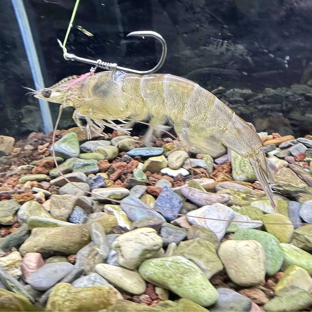 10 Pcs Hooks Live Shrimp Fixed Hook Carbon Steel Barbed with Holes 2/3/4 Catfish Bass Fishing Gear Lure Z260228