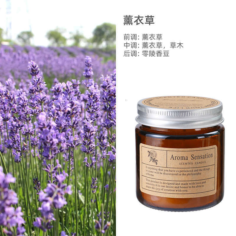 Trendy Glass DIY Wholesale Handmade Smokeless Fragrance Essential Oil Plant Wax Aromatherapy Candle Cup Ins W260303