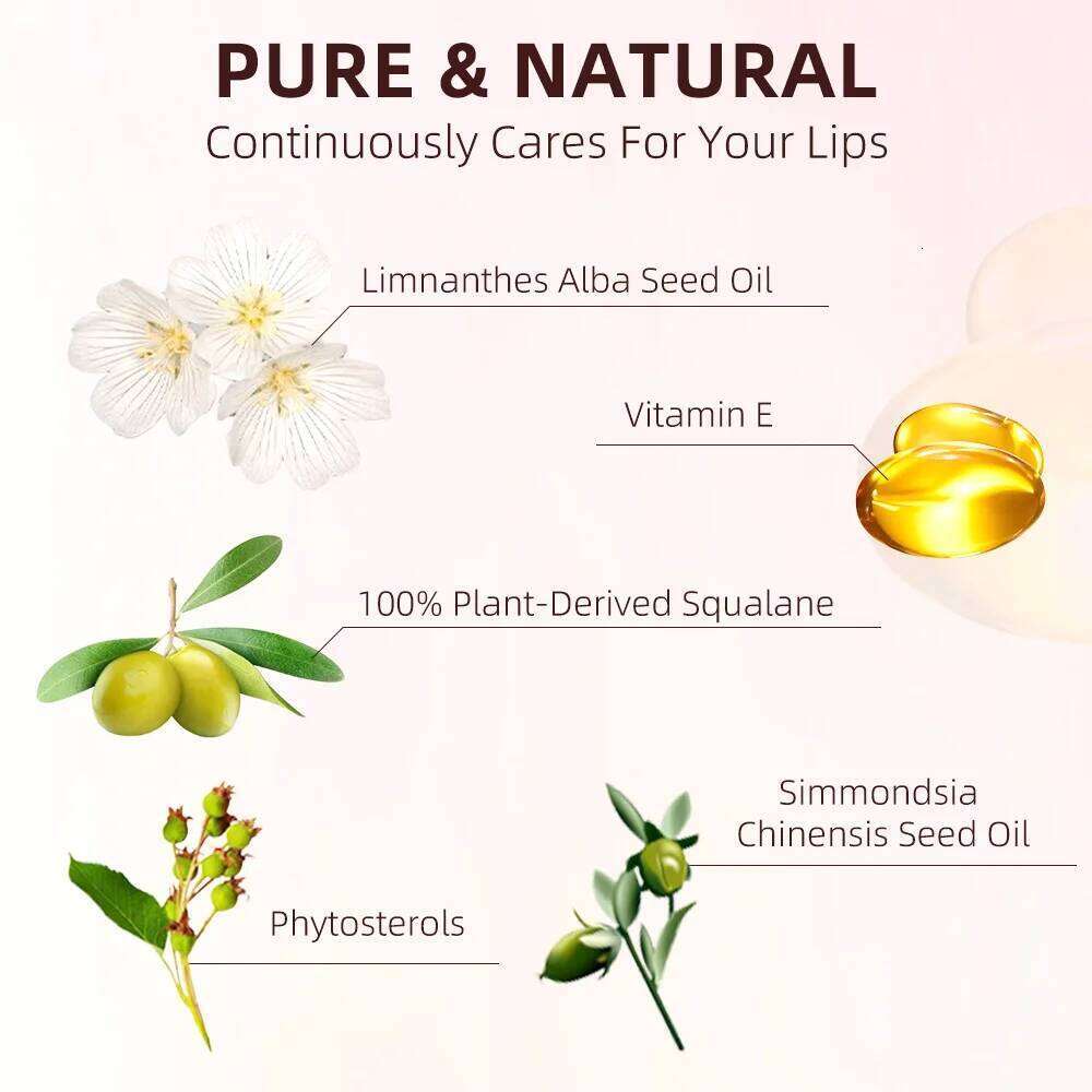 CATKIN Makeup Velvet Matte Lipstick, Hydrating Satin Long Lasting lipstick with Smooth and Creamy Texture H260302