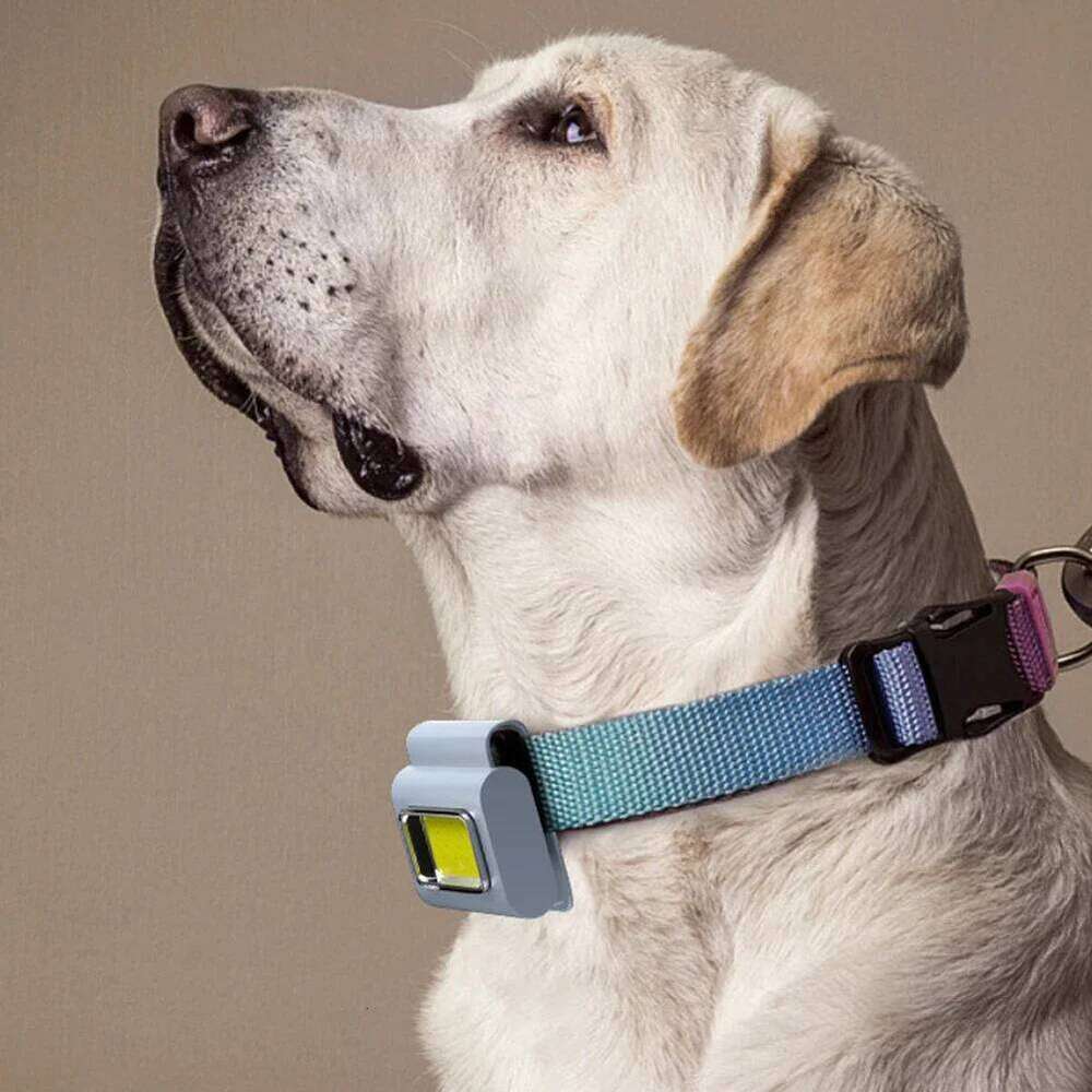 2pcs Running Chest Lamp 800mAh 500LM COB LED Work Head Light 6 Modes IPX4 Waterproof Reflective Headband for Night Walking S260302