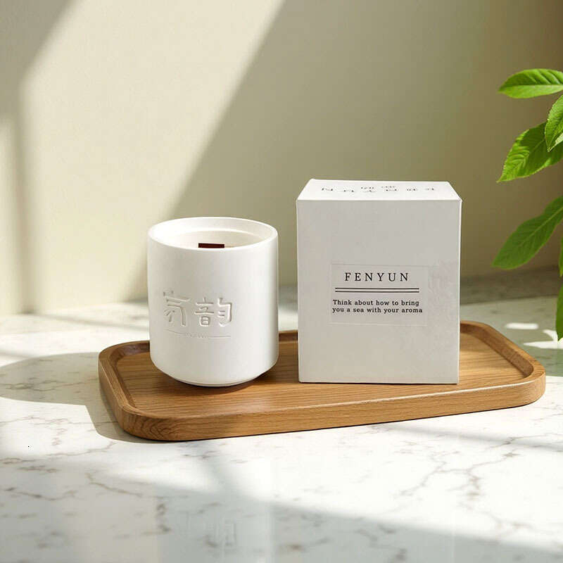 Gypsum Cup Aromatherapy Candle Smokeless Wholesale Bedroom Essential Oil Incense Ornament Creative Gift Handmade W260303