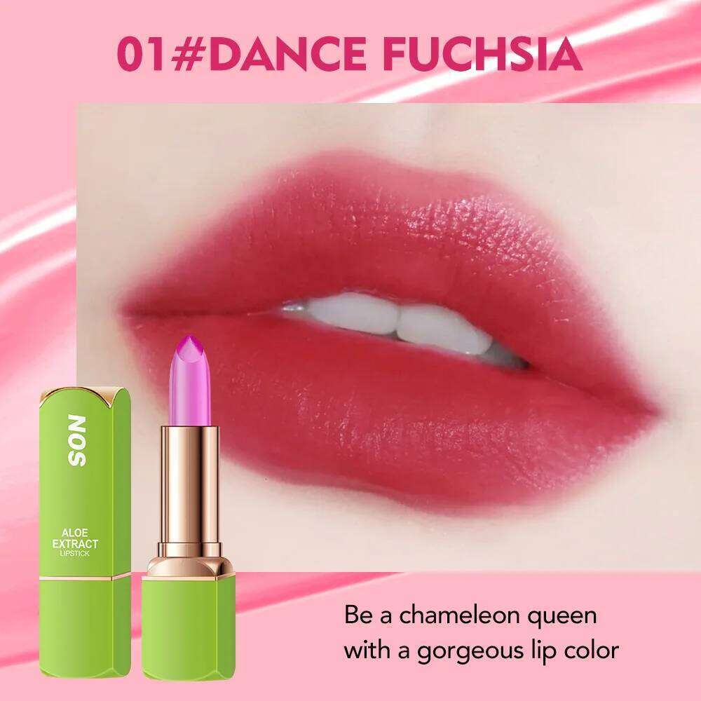 Colorful Lipstick Waterproof Long-lasting Non Smudging Moisturizing Natural Lip Gloss Female Makeup H260302