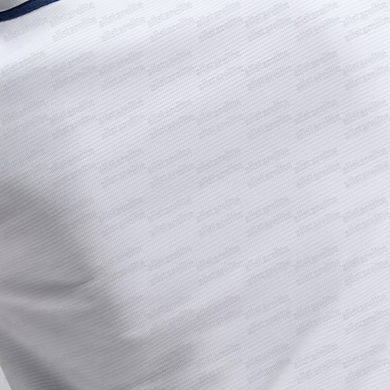 Custom Team Netherlands 2026 World Baseball Classic Jersey Ceddanne Rafaela Ozzie Albies Embroidered Any Name Any Number