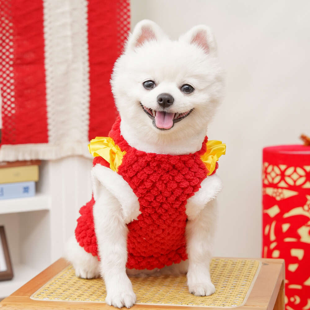 Famous brand New Year Chinese Style Lion Dance Fleece Lined Warm Pet Clothes Teddy Plush Tang Suit Dog Supplies Cat Outfit pupakaIK